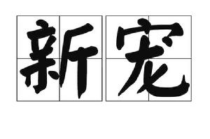 新寵[漢語詞語]