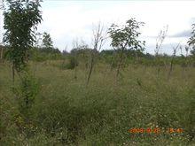 藏龍島濕地公園