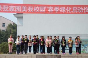 大陳國小 大陳國小