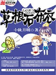 草根石布衣 草根石布衣