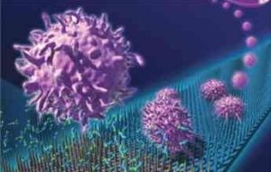 光稱或可稱出癌細胞