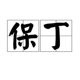 保丁 保丁