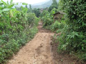 龍灘寨自然村 龍灘寨自然村