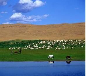 青海湖國家級自然保護區