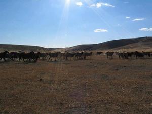 喀拉希力克鄉 喀拉希力克鄉