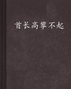 首長高攀不起 首長高攀不起