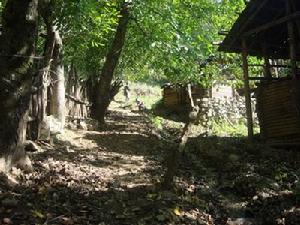 雙咪登村村內道路