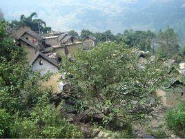 小瓦遮村 小瓦遮村