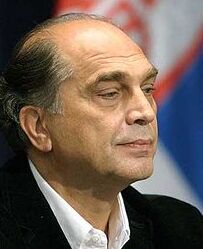 沃伊斯拉夫·博拉約維奇 沃伊斯拉夫·博拉約維奇