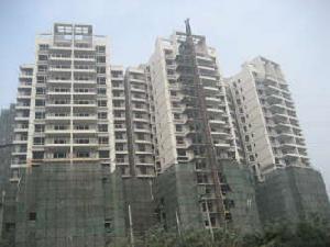 西城映畫二期 西城映畫二期