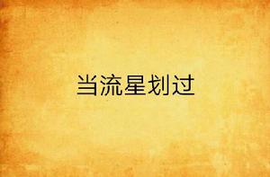 當流星划過 當流星划過