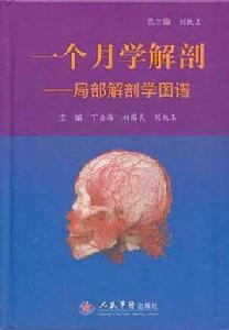 一個月學解剖:局部解剖學圖譜 一個月學解剖:局部解剖學圖譜