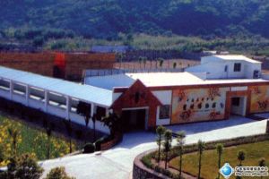 （圖）蜜蜂博物館