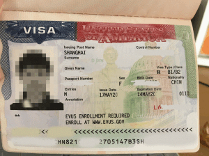 誠實簽證 誠實簽證