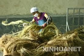 三陽夏布 三陽夏布