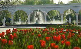 洛陽鬱金香牡丹園 洛陽鬱金香牡丹園