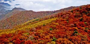 歷山皇姑幔景區