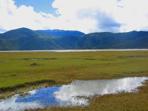中甸納帕海景區