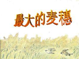 最大的麥穗 最大的麥穗