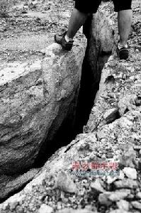 西淋崗斷層 西淋崗斷層