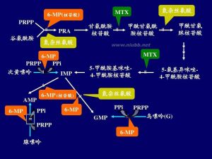 抗代謝物 抗代謝物