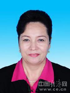 田地區行署副專員