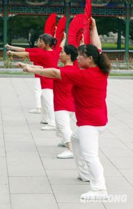 《楊氏太極拳真傳》 《楊氏太極拳真傳》