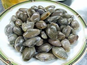 花甲煮節瓜 花甲煮節瓜