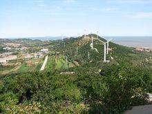 蓬勃發展的長島