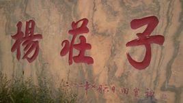 楊莊子 楊莊子