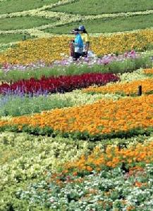 2006泰國花卉博覽會