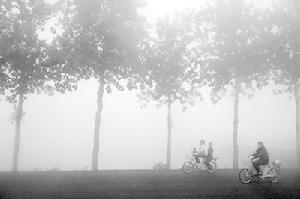 （圖）大霧