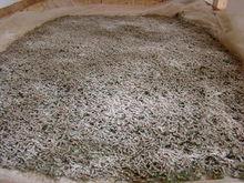 山後自然村[雲南保山施甸縣仁和鎮交邑村委會山後自然村]