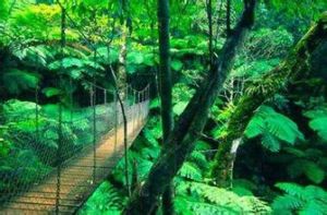 雷明頓國家公園 雷明頓國家公園