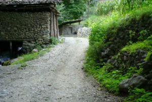 打布各村 打布各村