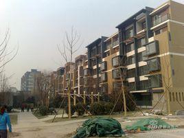 常青藤社區 常青藤社區