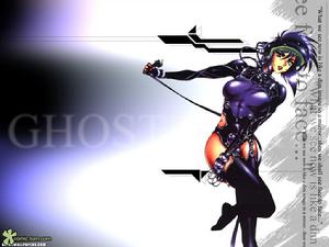 暗日明晶 暗日明晶