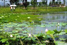 無錫十八灣風景區