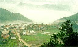 茶莊中心接待站 茶莊中心接待站