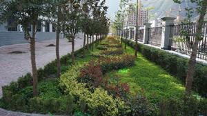 優美的校園環境