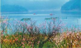 桃源春色 桃源春色