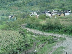 舍左地村 舍左地村