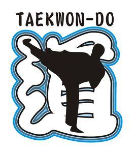 華中科技大學文華學院跆拳道協會 華中科技大學文華學院跆拳道協會