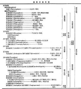 古植物學 古植物學