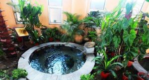 玫瑰莊園溫泉 玫瑰莊園溫泉