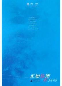 正如你所看到的 正如你所看到的