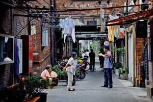 海派文化[文化名詞]