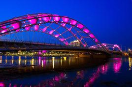 海河上所有的橋 海河上所有的橋