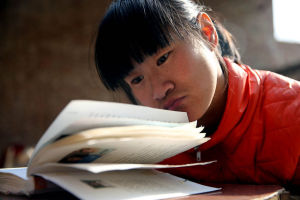 鼻尖網店 鼻尖網店