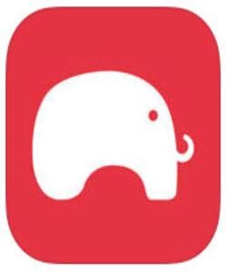 大象保險 大象保險